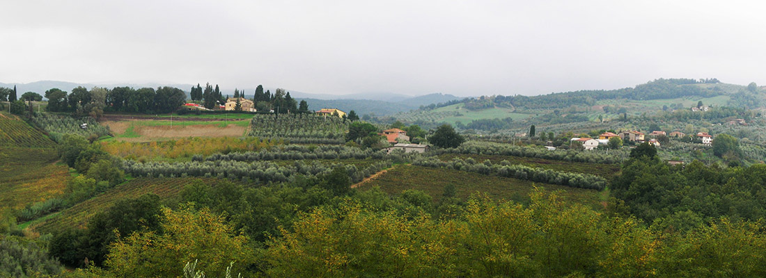  family-run farm Baragli Ritano, panorama